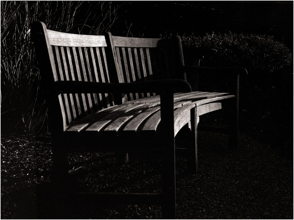 The Bench in Black and White
