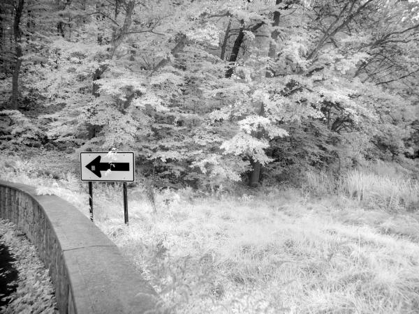 Mountainside NJ | Olympus E510 | 2016