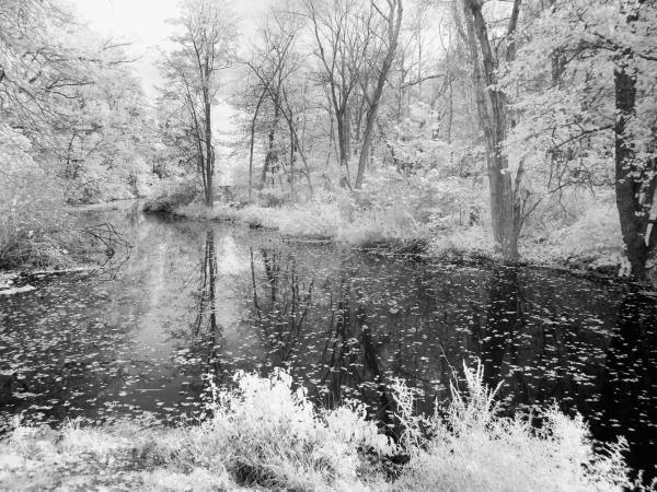 Mountainside NJ | Olympus E510 | 2016