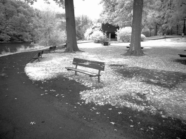 Mountainside NJ | Olympus E510 | 2016