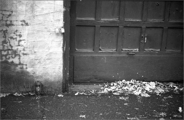 250103 Covington - Bessa R-2