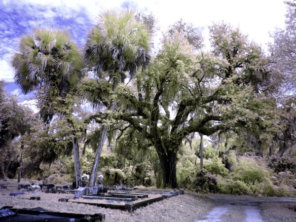 Apalachicola FL | Olympus EM-5 | 2020