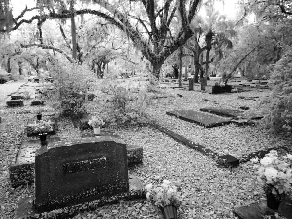 Apalachicola FL | Olympus EM-5 | 2020