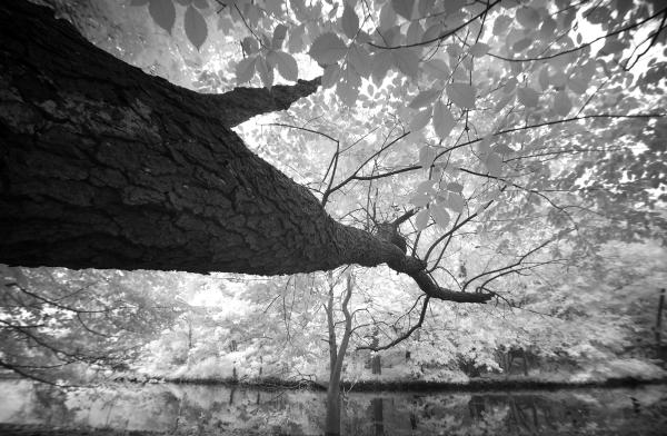 Cranford NJ | Olympus EM-5 | 2021