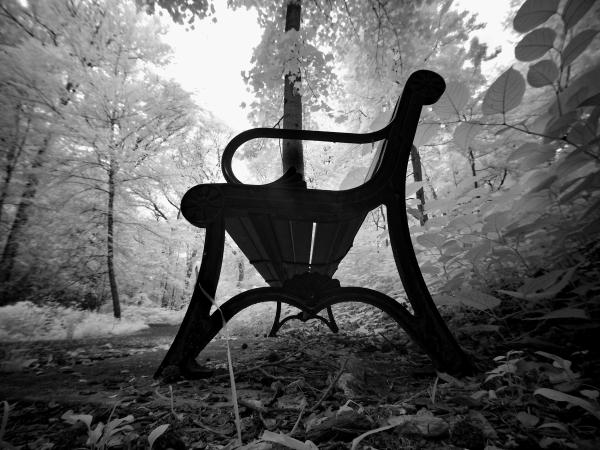 Cranford NJ | Olympus EM-5 | 2021