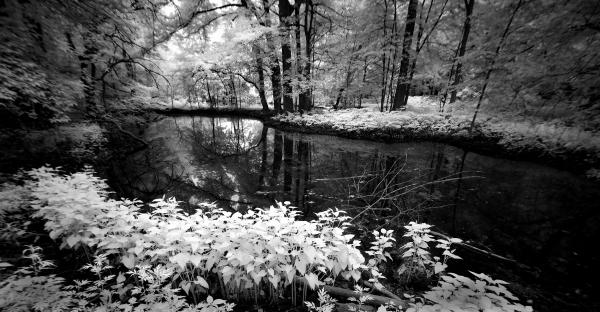 Cranford NJ | Olympus EM-5 | 2021